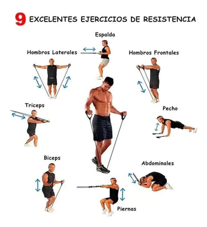 LIGAS DE ENTRENAMIENTO